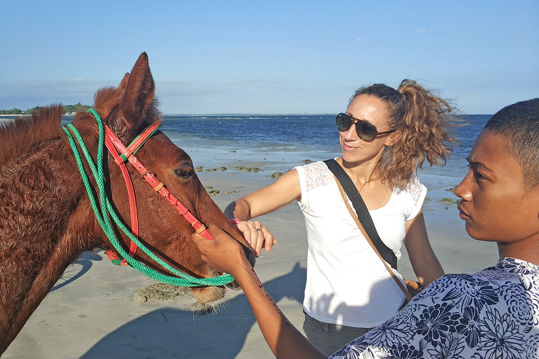 Jeneponto sulawesi horse on the beach