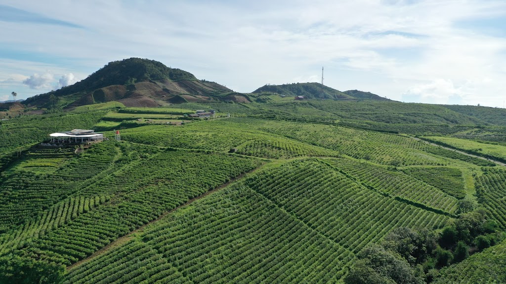 Explore Malino Highlands Mountain Forests